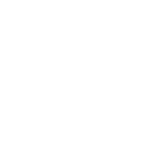Trinity MSAS Logo White